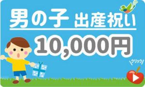 出産祝い男の子 予算10,000円